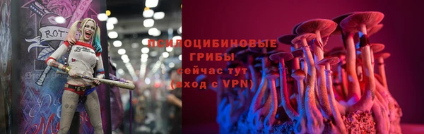 COCAINE Богородицк