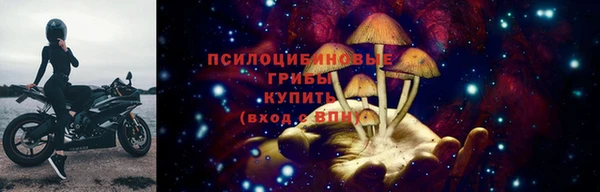МДПВ Богданович