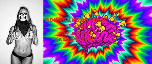 PSILOCYBIN Богородск