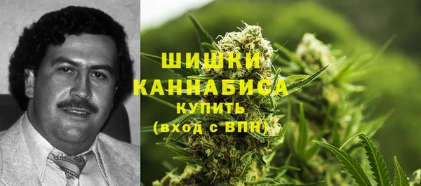 МДПВ Богданович
