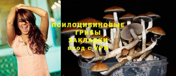 PSILOCYBIN Богородск